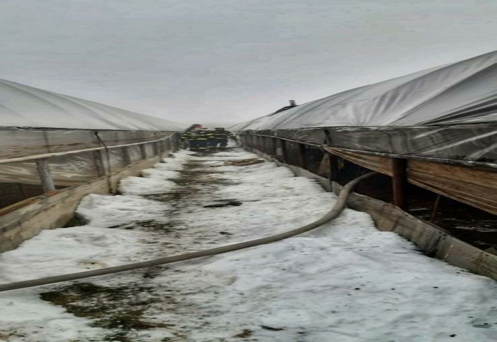 Un solar a luat foc din cauza jarului de la centrala termică