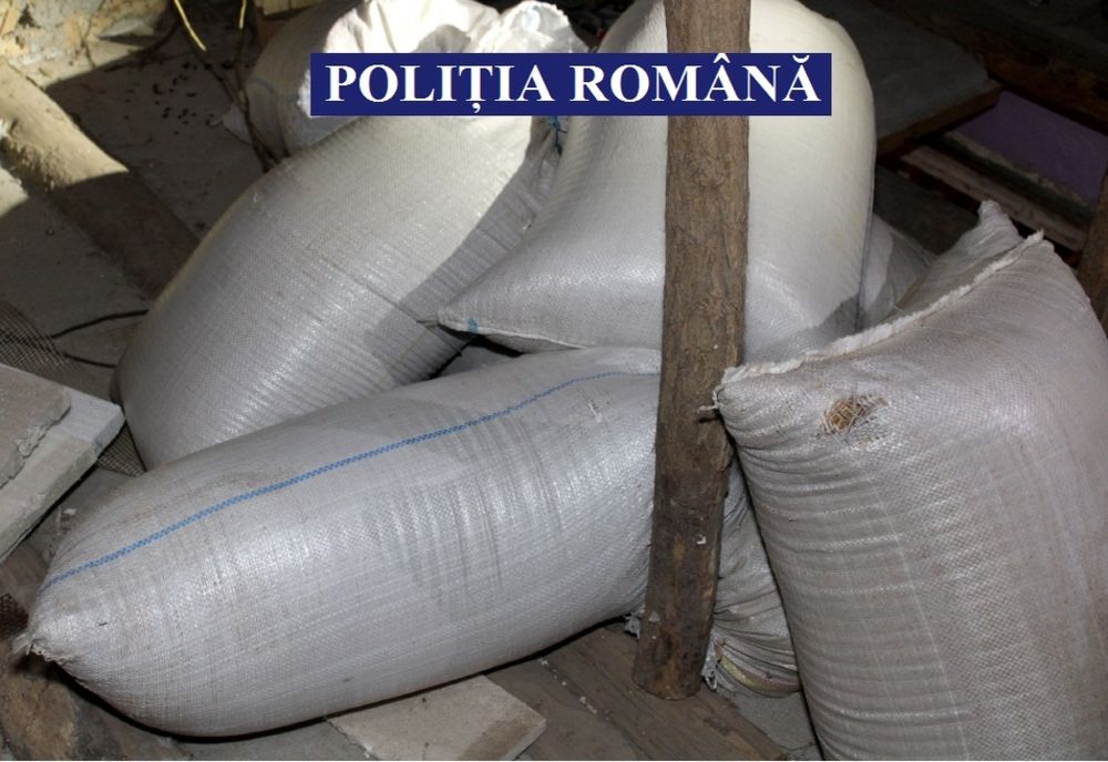 Percheziție la un bărbat din Găujani. 144 de kilograme de tutun vrac, confiscate de polițiști