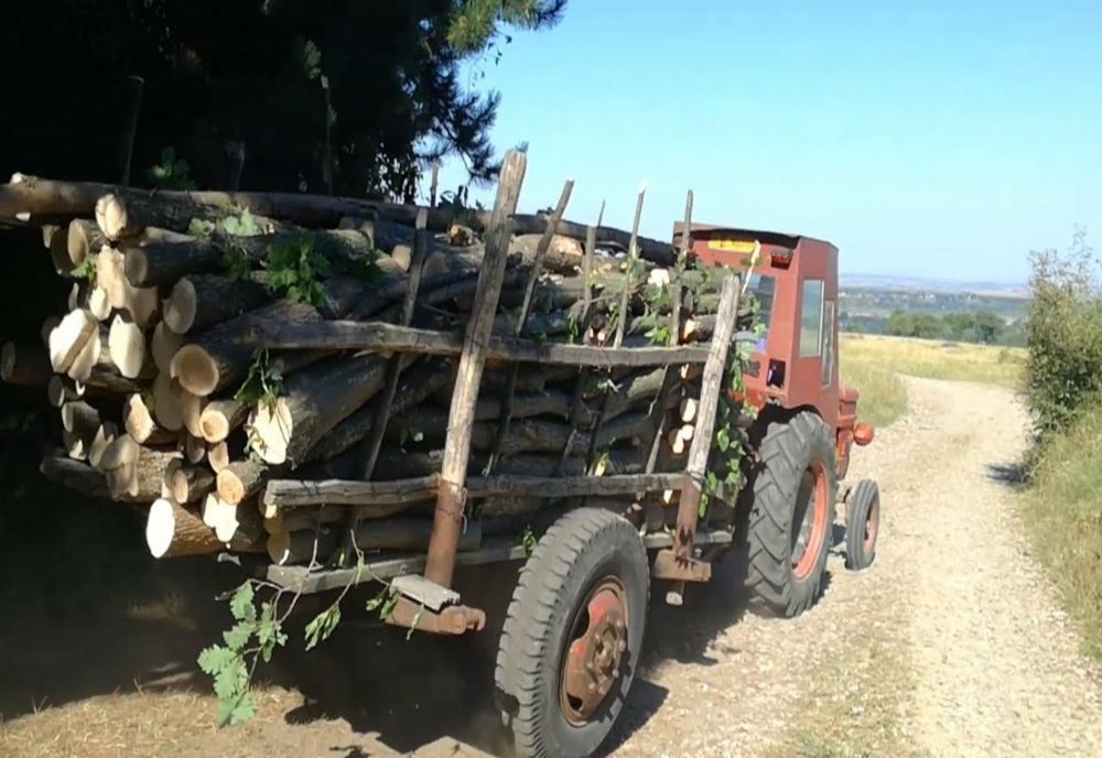 Transportatorii ilegali de lemne, opriți de polițiștii giurgiuveni
