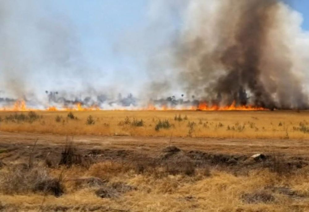 Incendiu de vegetație uscată, pe A1, la Bolintin Vale