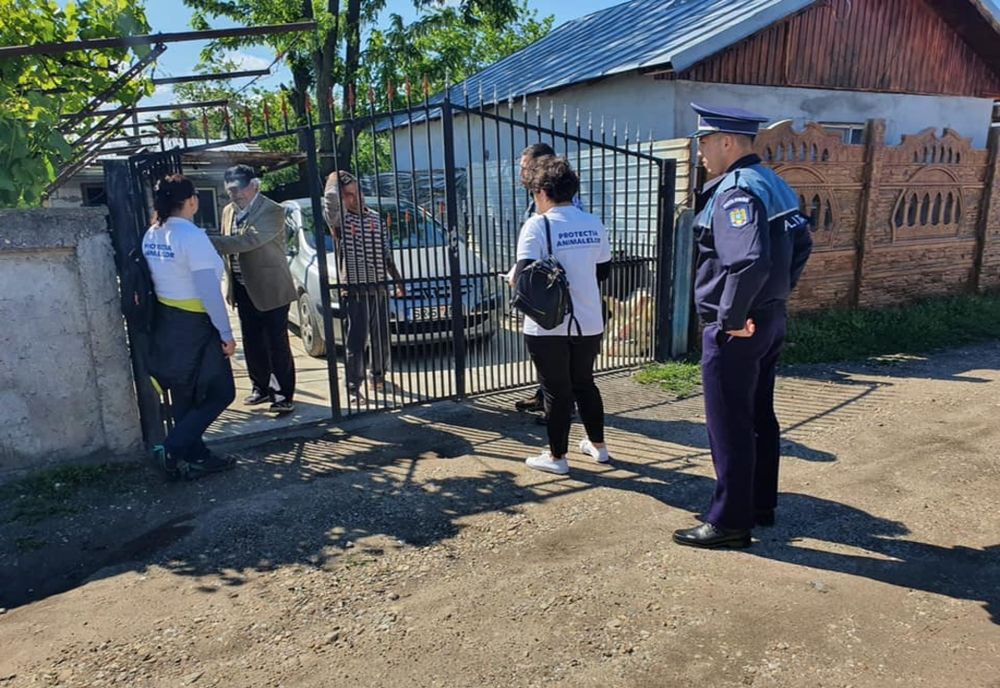 Sterilizează și salvează”- campanie de informare a proprietarilor de căini din județul Giurgiu