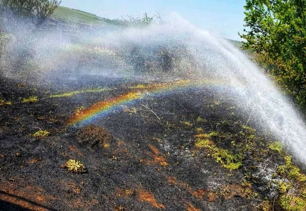 Giurgiu. Două incendii de vegetație uscată în doar 24 de ore. Ce amendă riscați dacă provocați un astfel de incendiu