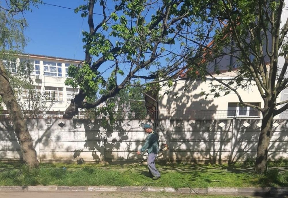 Giurgiu, orașul buruienilor. Toate zonele din localitate sunt împânzite de bălării uriașe. Ce anunță autoritățile