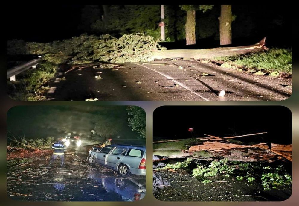 Mamă și fiică, rănite după ce mașina în care se aflau a intrat într-un copac căzut pe carosabil