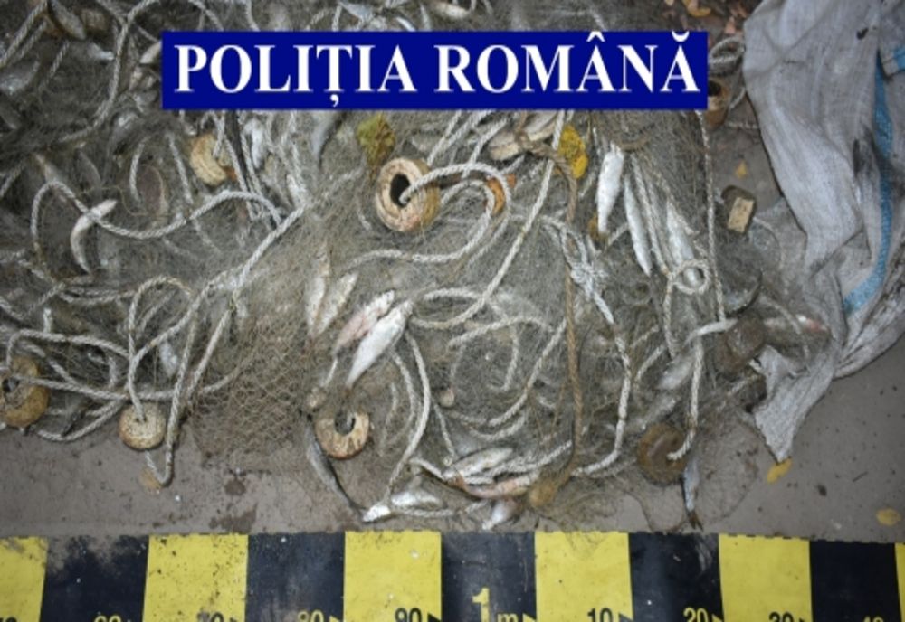 Zeci de ambarcațiuni de agrement din Giurgiu, verificate de polițiștii de la transporturi. Ce au descoperit oamenii legii