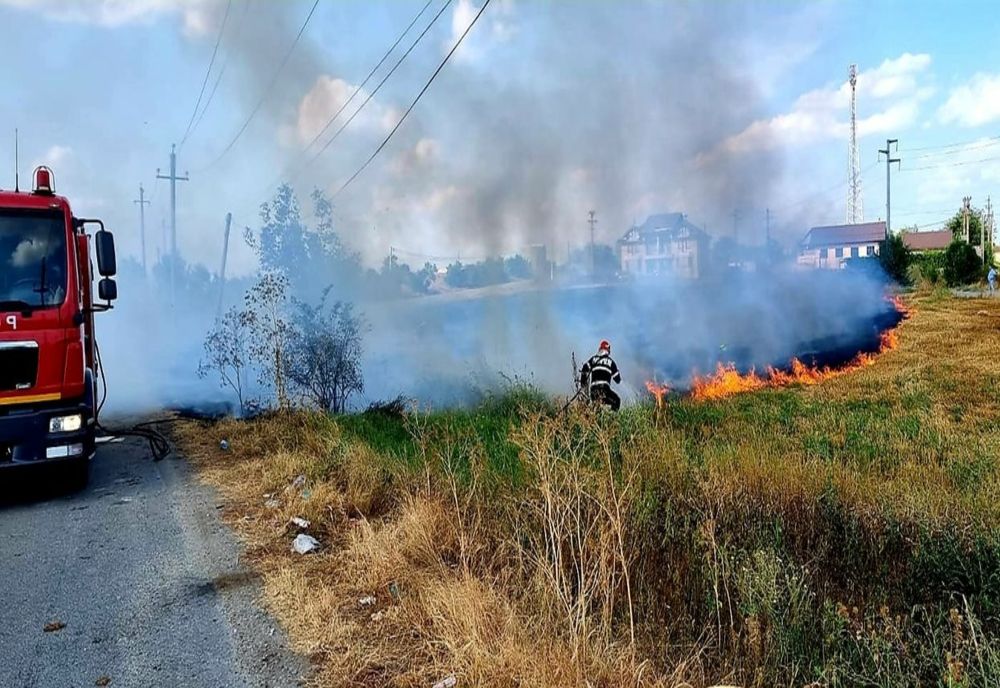 Circulație îngreunată pe DN 61 din cauza fumului dens în urma unui incendiu de vegetație