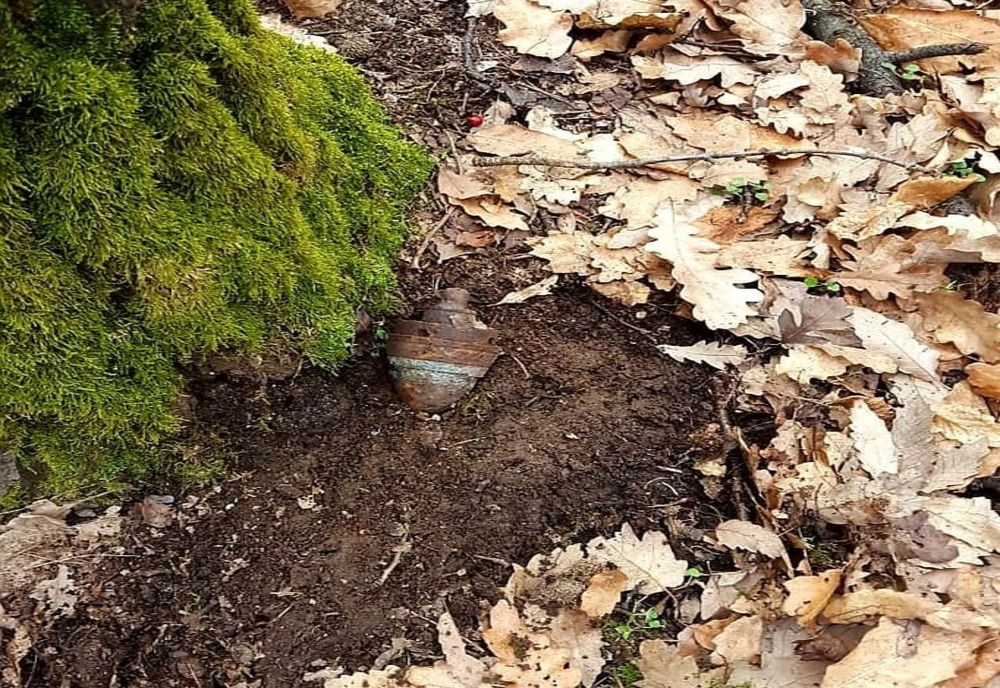 Giurgiu. Focos de proiectil, descoperit în pădurea Mihai Bravu