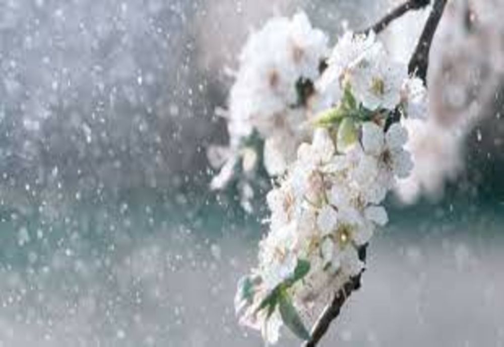 Vremea 8 aprilie - Cresc temperaturile dar se înmulțesc ploile - Vânt puternic în unele zone din țară