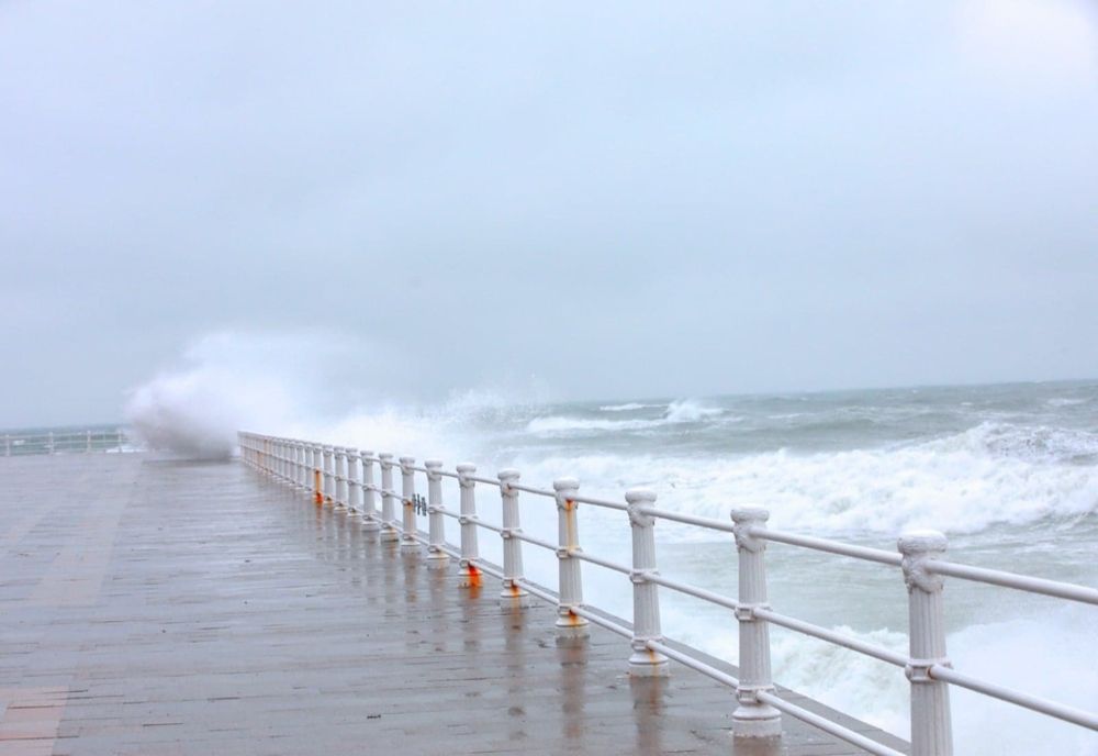 ANM: Atenţionare de cod galben. Vânt puternic în Oltenia, Muntenia şi Dobrogea