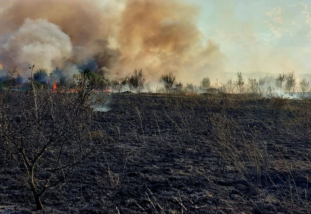 Intervenţia pompierilor giurgiuveni în ultimele 24 de ore