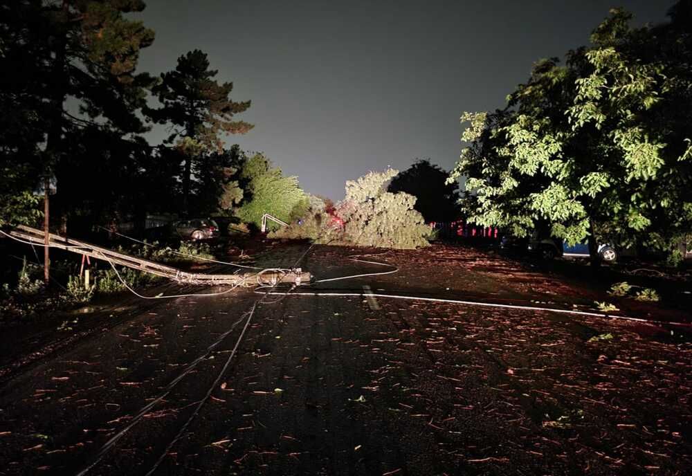 Furtuna a făcut dezastru în judeţul Giurgiu! Copaci căzuţi pe maşini şi stâlpi de electricitate doborâţi de vântul puternic