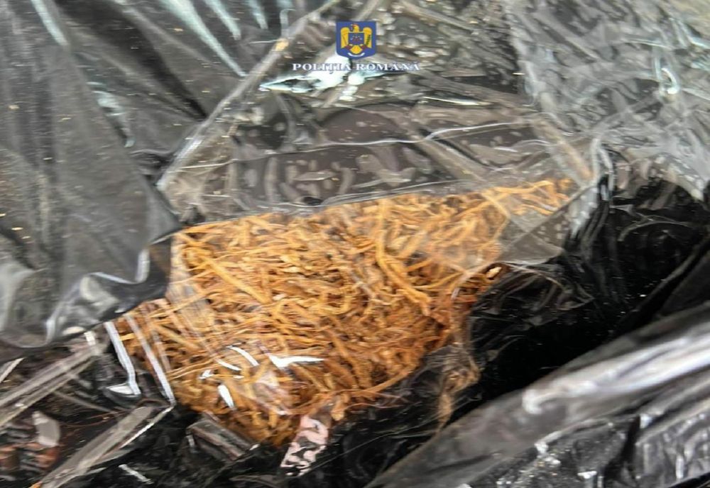 Giurgiu. Bărbaţi reţinuţi după ce au fost prinşi că transportau ilegal 100 de kilograme de tutun 