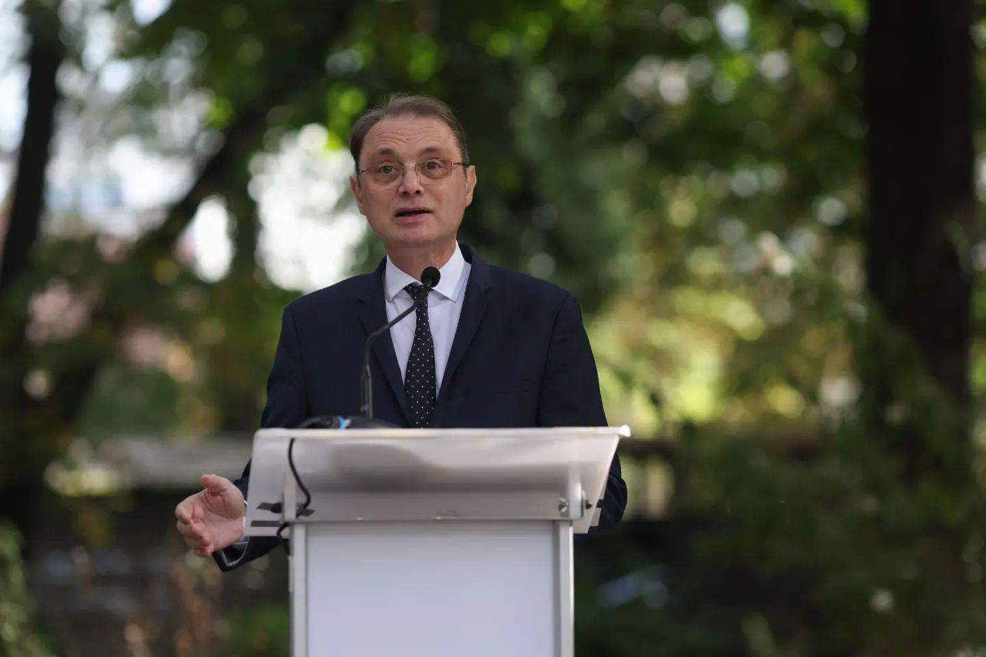 Când depune Luca Niculescu programul și lista miniștrilor în Parlament. Trei variante de guvern pe masă