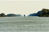Dunărea scade văzând cu ochii. Navele riscă să rămână blocate, iar costurile pot exploda