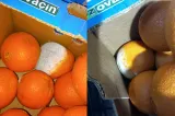 Sancțiuni drastice de la ANPC: Amenzi de 4 milioane de lei pentru nereguli grave