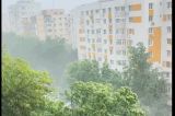Ploi torențiale și vijelii în mai multe județe