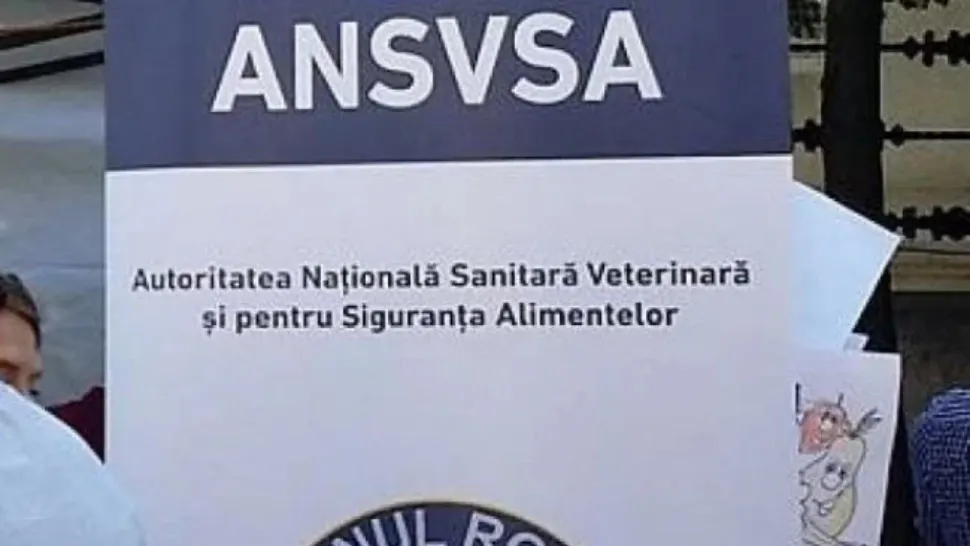 ANSVSA