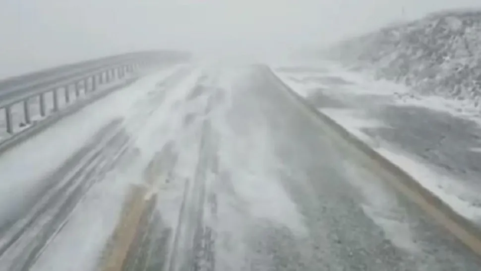 FOTO: Arhiva