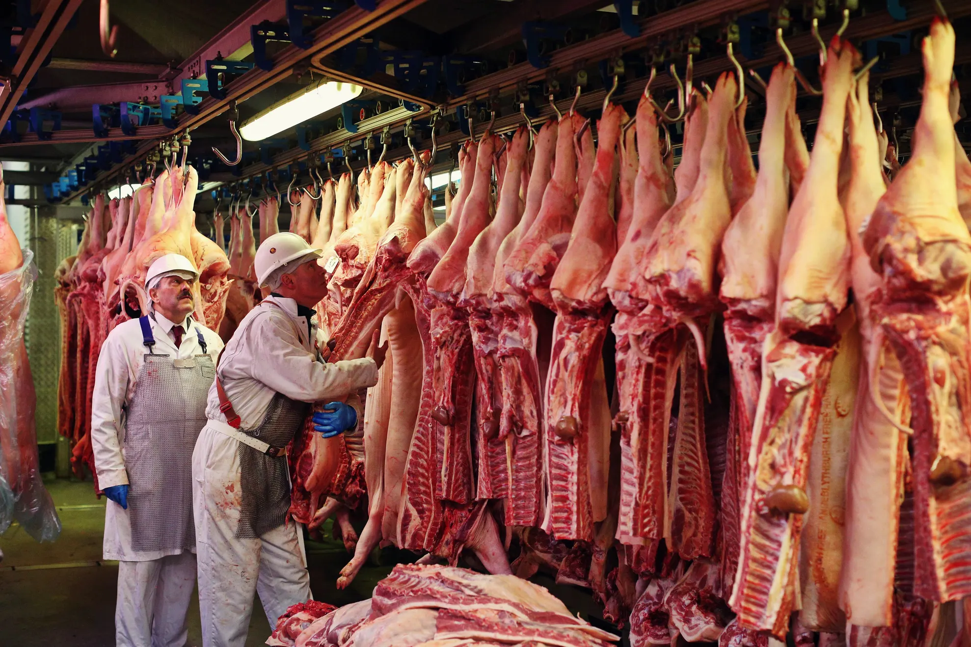 importul de carne de porc