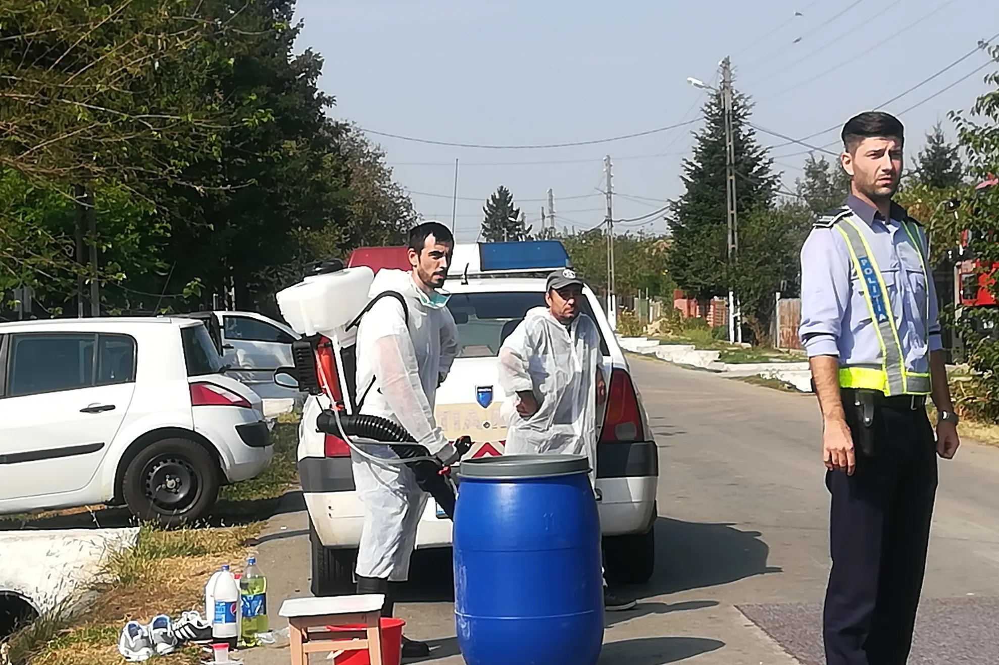 pesta porcină