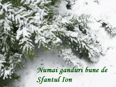 urari-si-felicitari-de-sfantul-Ion