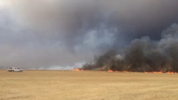 incendiu A1 vegatație uscată