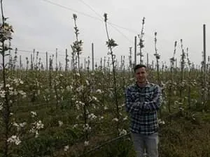 Mircea Grigoriu