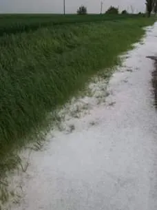 grindină în județul Giurgiu