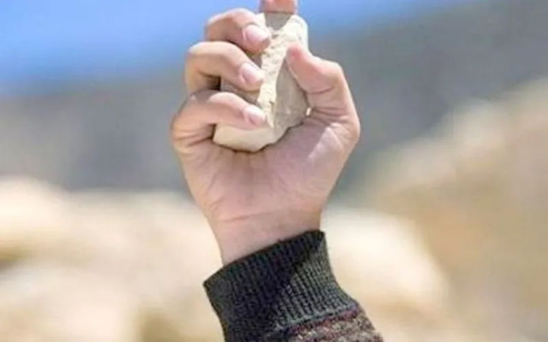 ordin de protecție