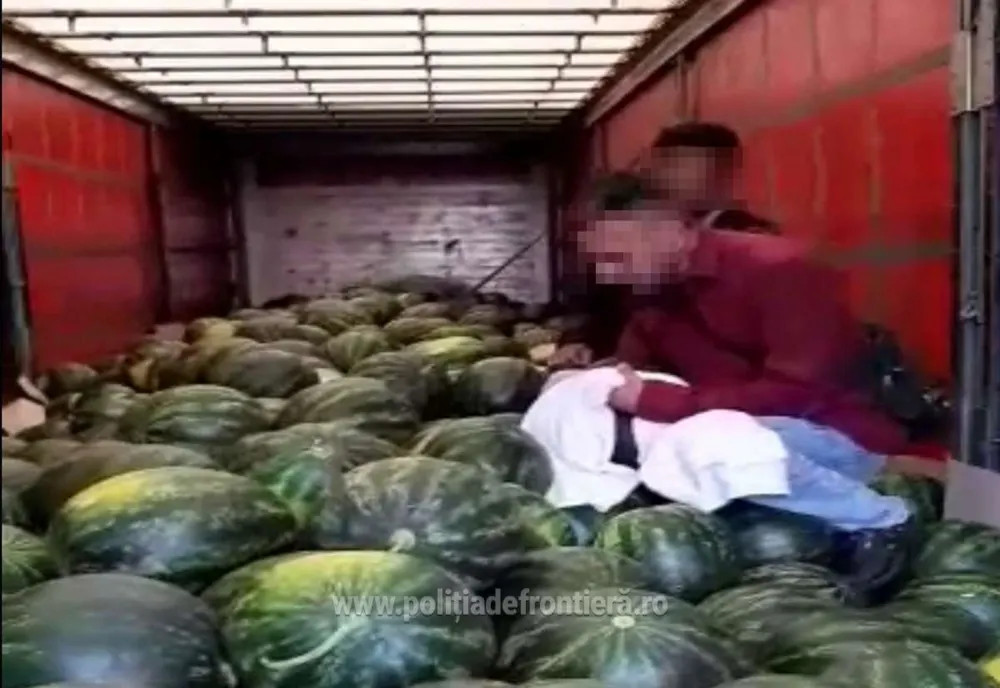 Doi cetăţeni din Pakistan, ascunși într-un camion încărcat cu pepeni, depistaţi la P.T.F. Giurgiu