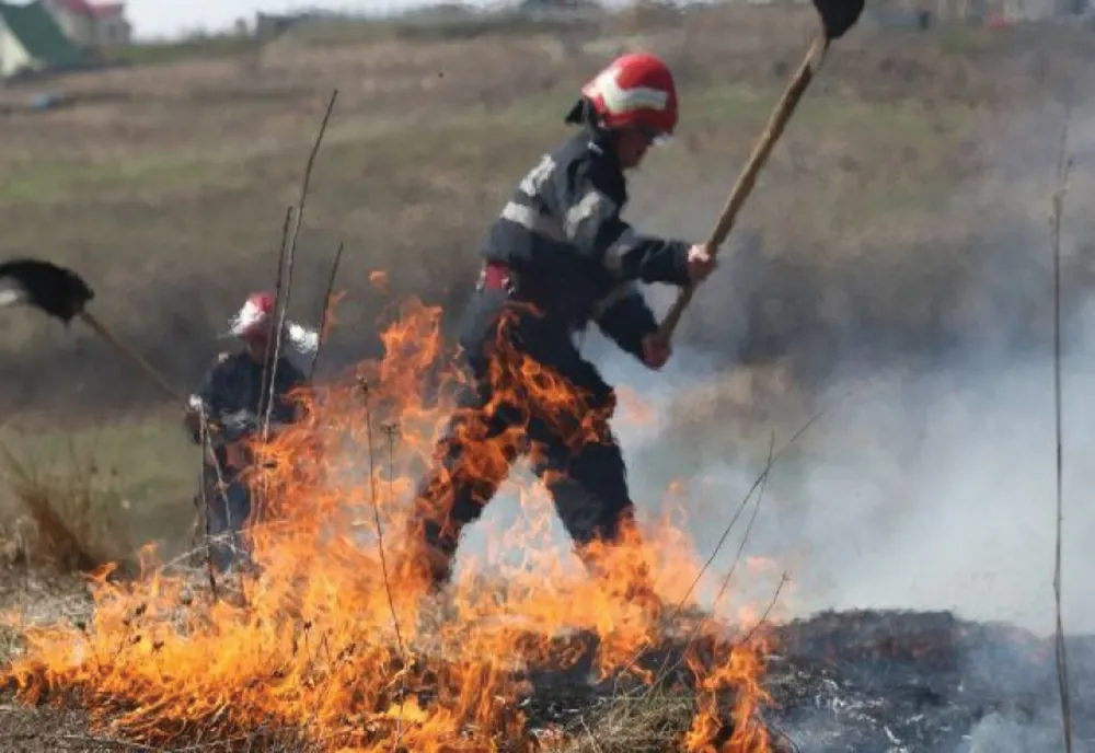 Incendii de vegetație pe bandă rulantă, în județul Giurgiu. Zeci de pompieri au intervenit  