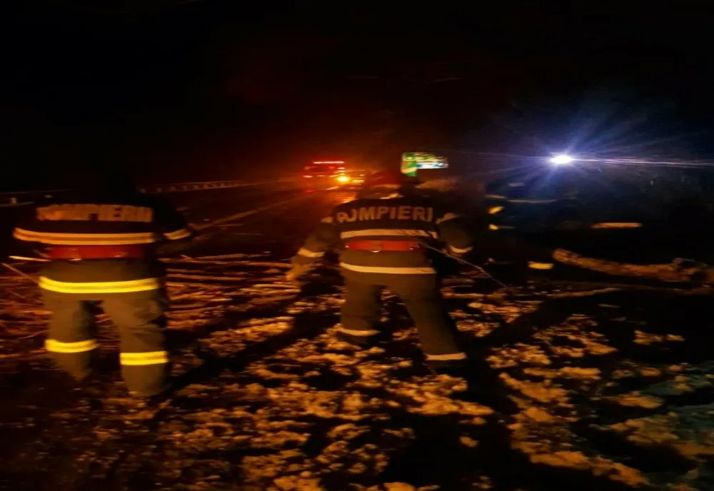 Copac căzut pe Autostrada A1. Banda de urgență și jumătate din banda 1, blocate