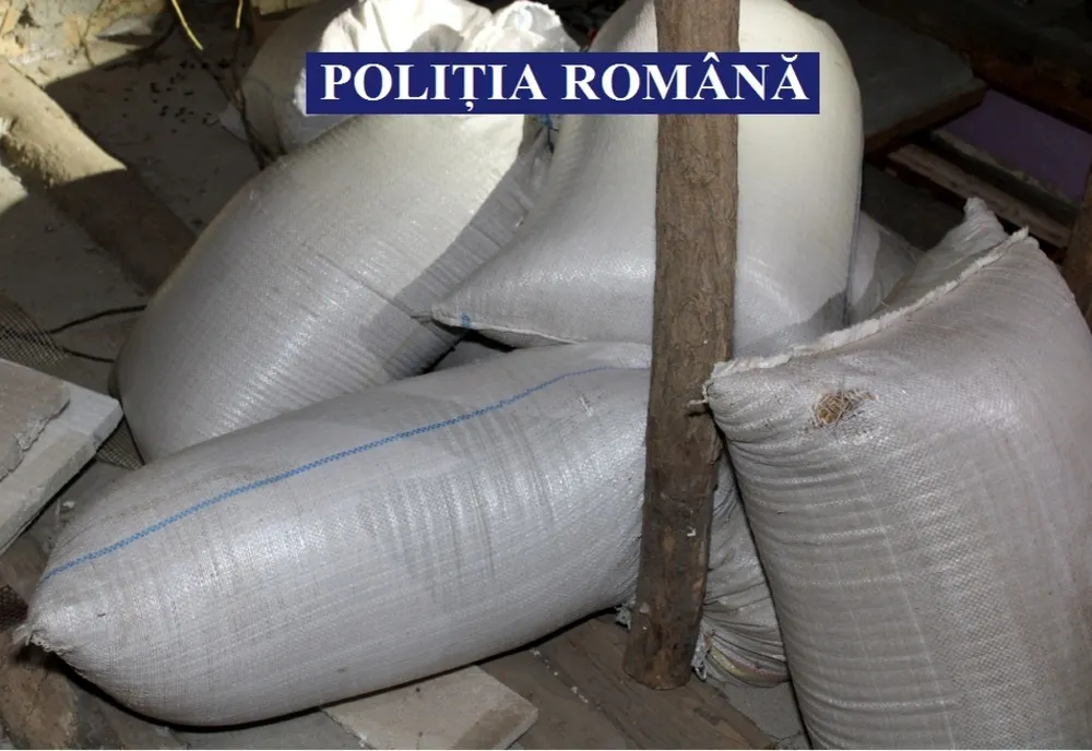Tutun confiscat în urma unei percheziții domiciliare
