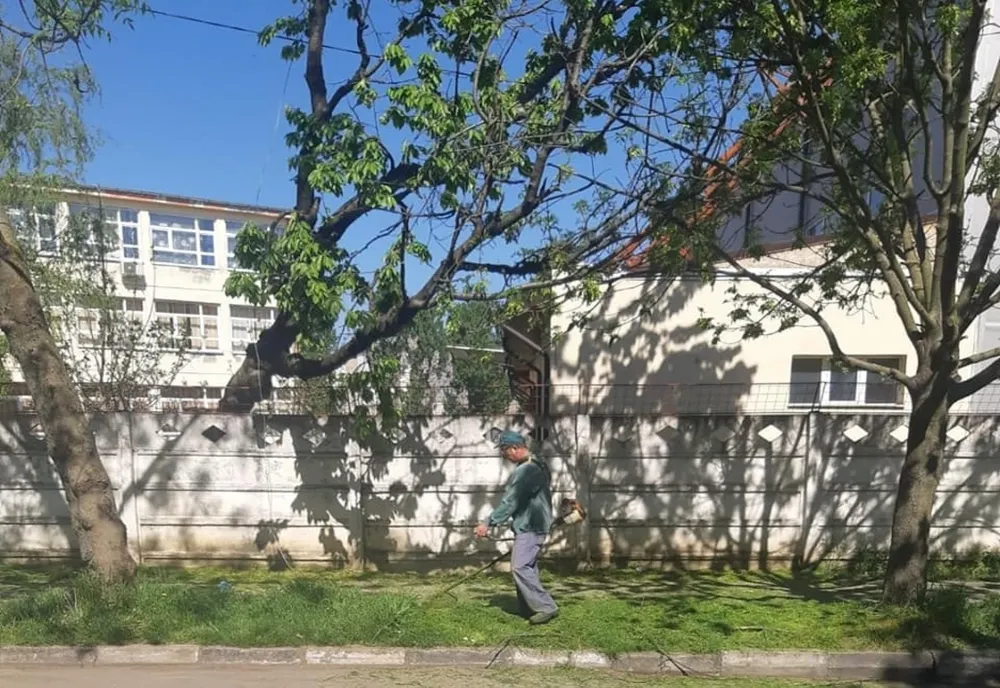 Giurgiu, orașul buruienilor. Toate zonele din localitate sunt împânzite de bălării uriașe. Ce anunță autoritățile