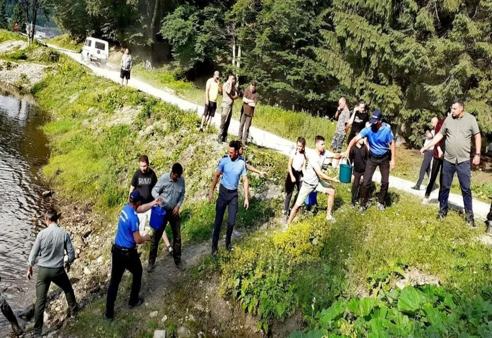 Populare cu păstrăv pe râul Teleajen