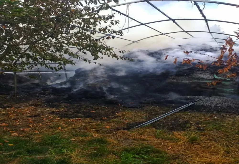 Incendiu violent la două hale din Bâcu. Cinci autospeciale din Giurgiu și București-Ilfov intervin pentru stingerea focului