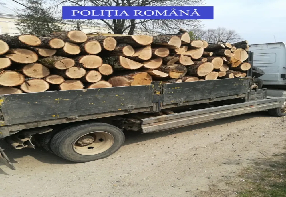Giurgiu. Peste 5 tone de lemne de foc, confiscate de poliţişti în urma unei razii
