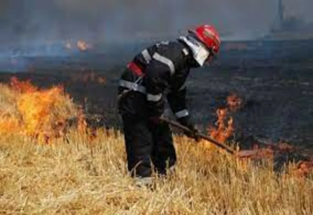Incendiile de vegetație uscată fac ravagii în județul Giurgiu 