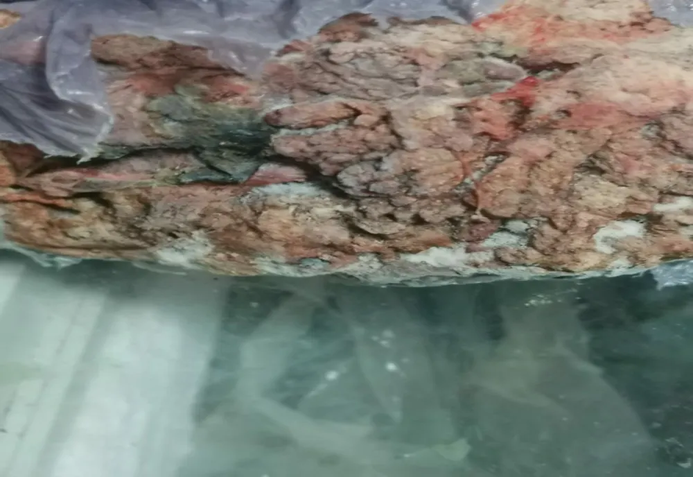 Comisarii ANPC propun închiderea unui supermarket și a unui restaurant din Giurgiu