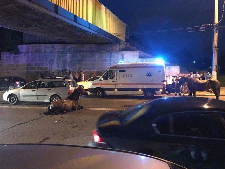 37611841_1829526713789791_5286611550281400320_n