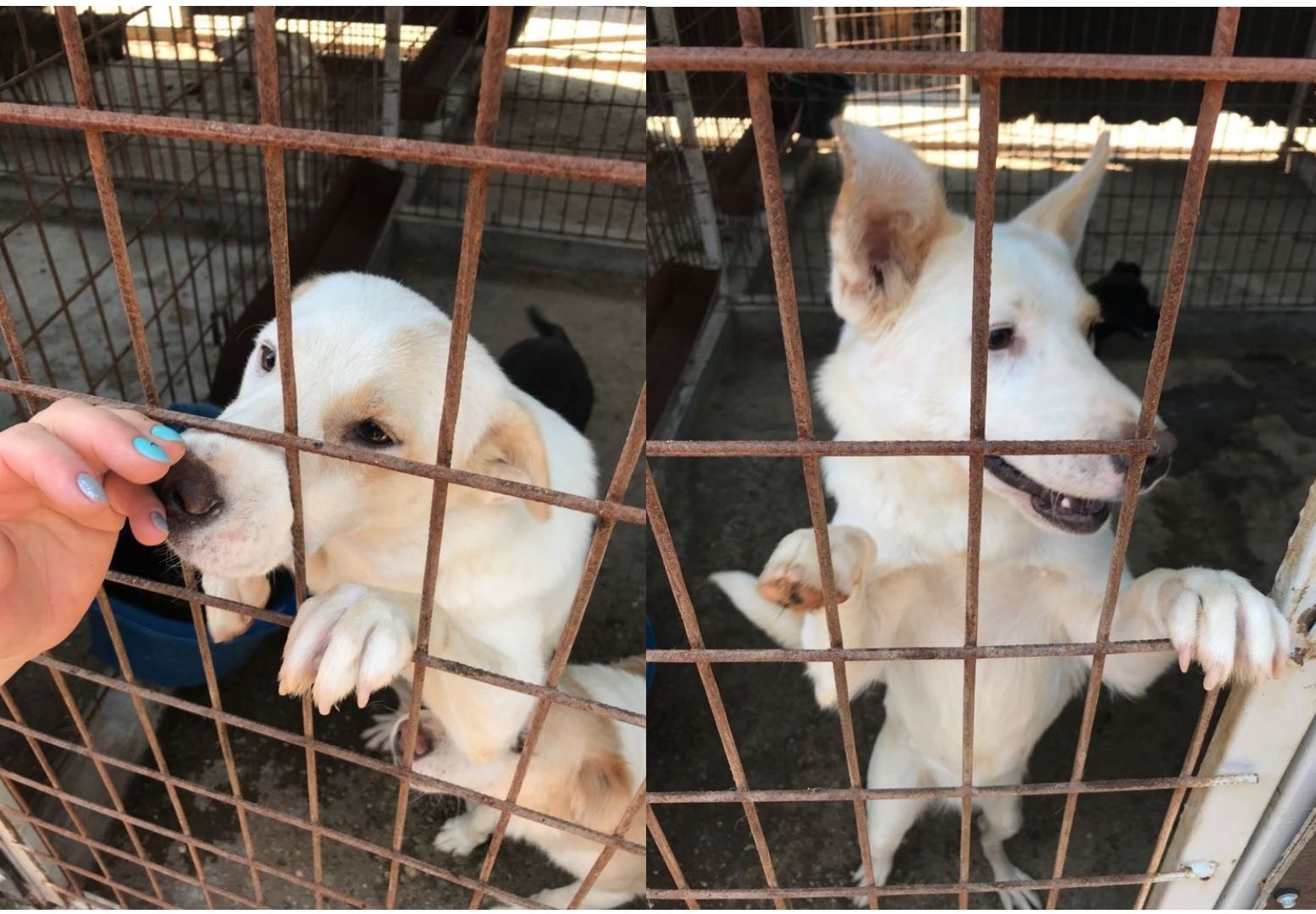 WhatsApp Image 2018-08-09 at 13.42.22 (1)