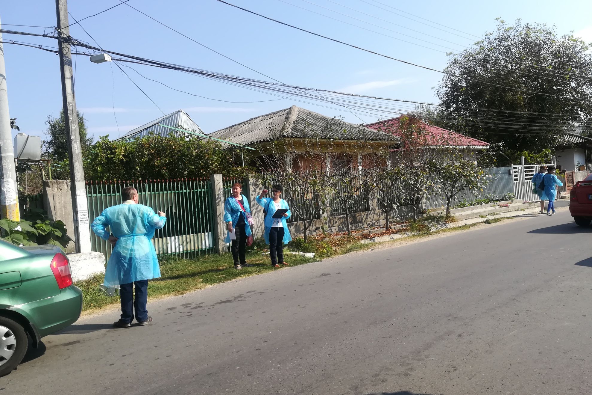 pesta porcina africana