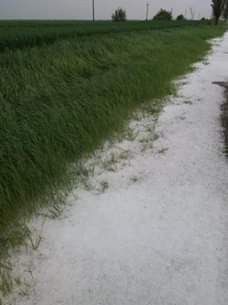 grindină în județul Giurgiu