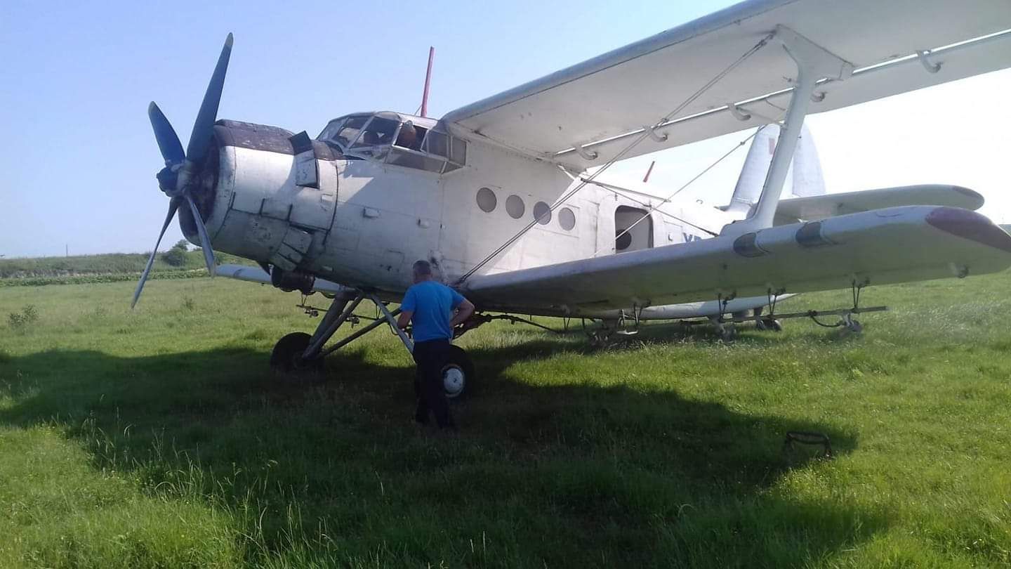 dezinsecție Giurgiu