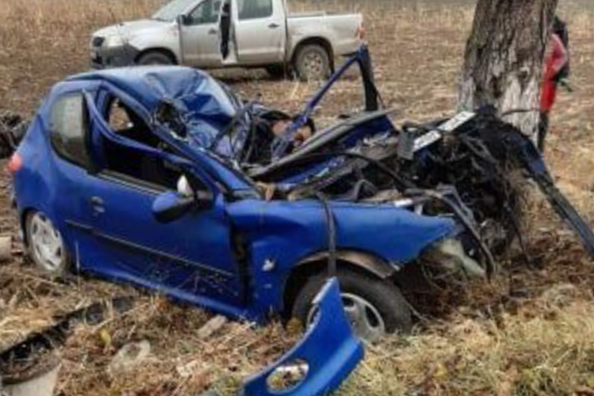 73422552_1320963041396421_2767199793330520064_n