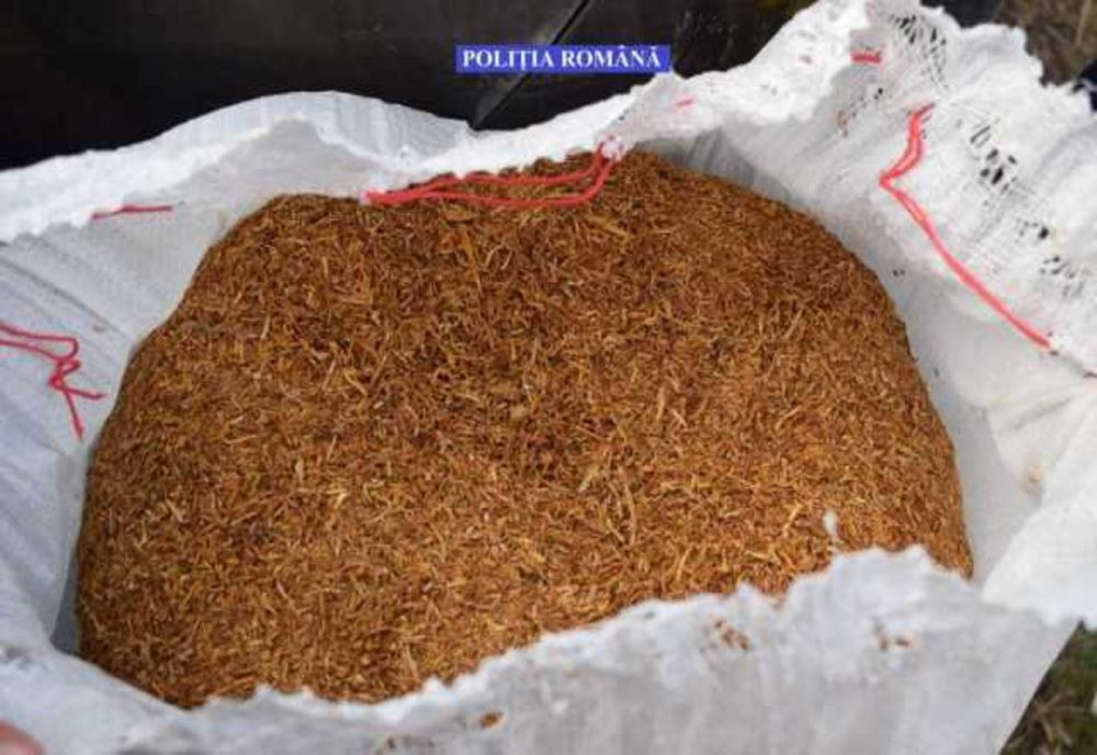 Zeci de percheziții la contrabandiști cu tutun în București, Ilfov și Călărași