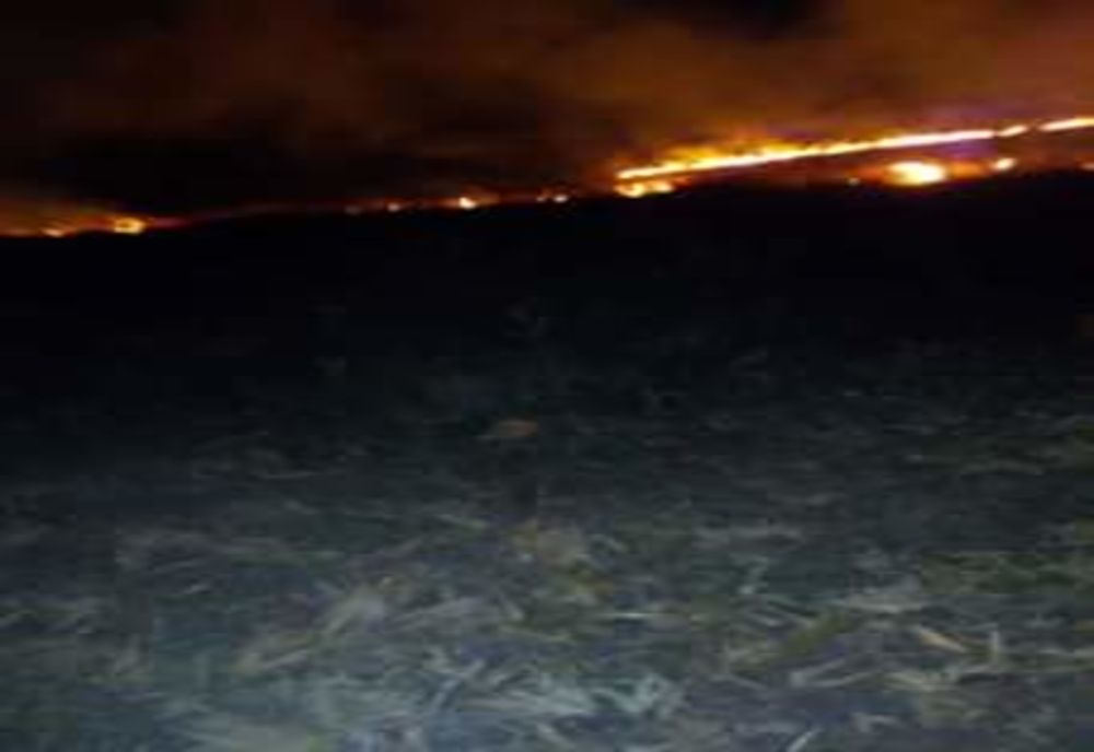 Suprafețe întinse de vegetație uscată, mistuite de flăcări