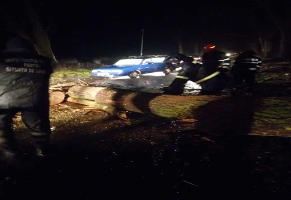 Copaci căzuți pe carosabil și localități fără energie electrică, la Giurgiu, din cauza viscolului 