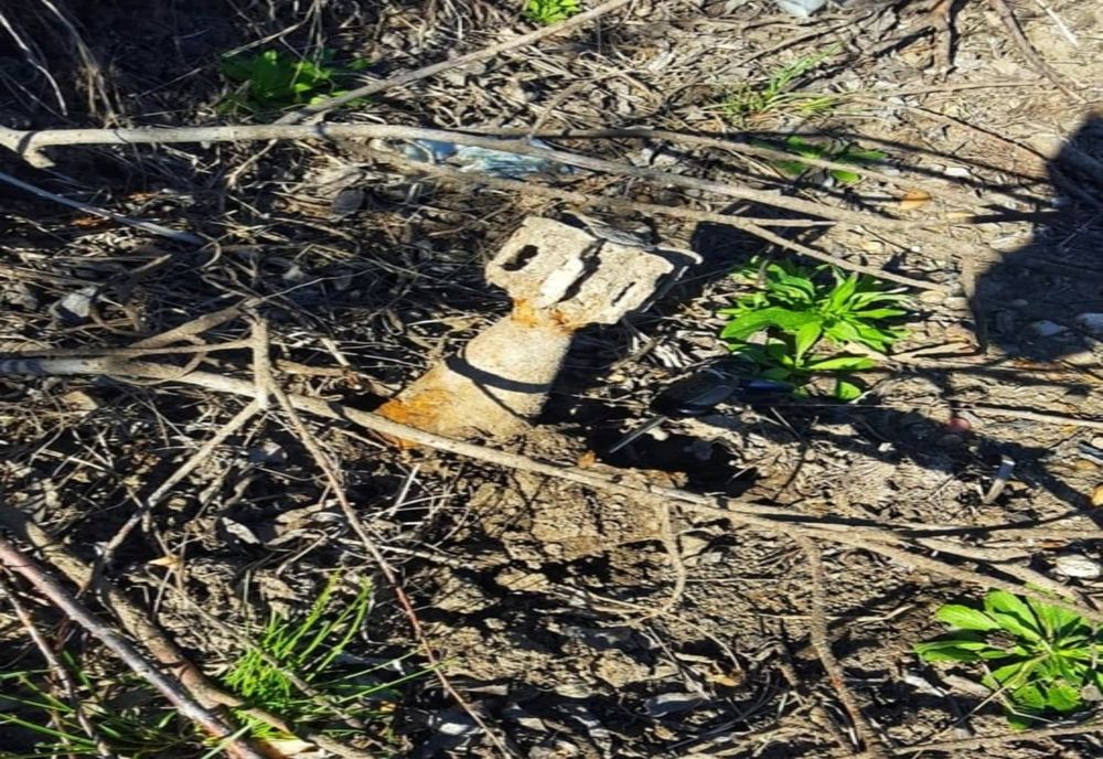 Două proiectile descoperite în balta de la Bălănoaia