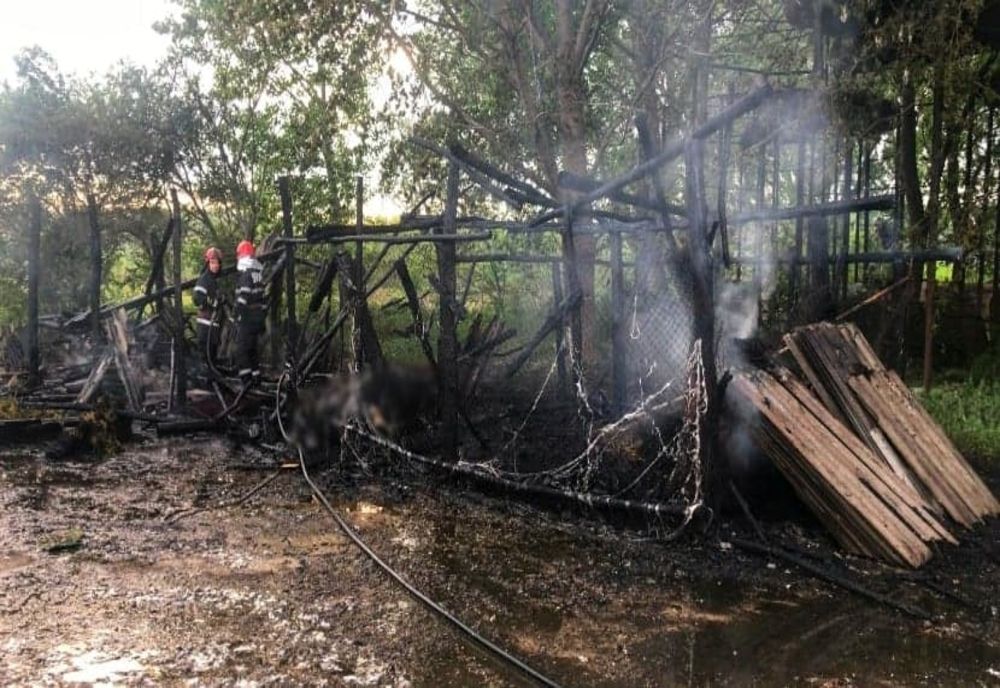 Adăpost de animale, în flăcări, la Pietrele. Un viţel a fost găsit carbonizat